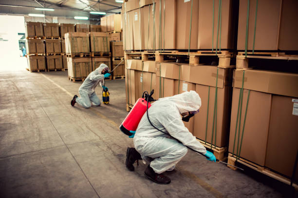 Best Flea Control Services  in Middle Valley, TN