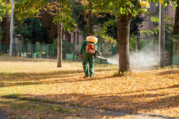 Best Mosquito Control Services  in Middle Valley, TN